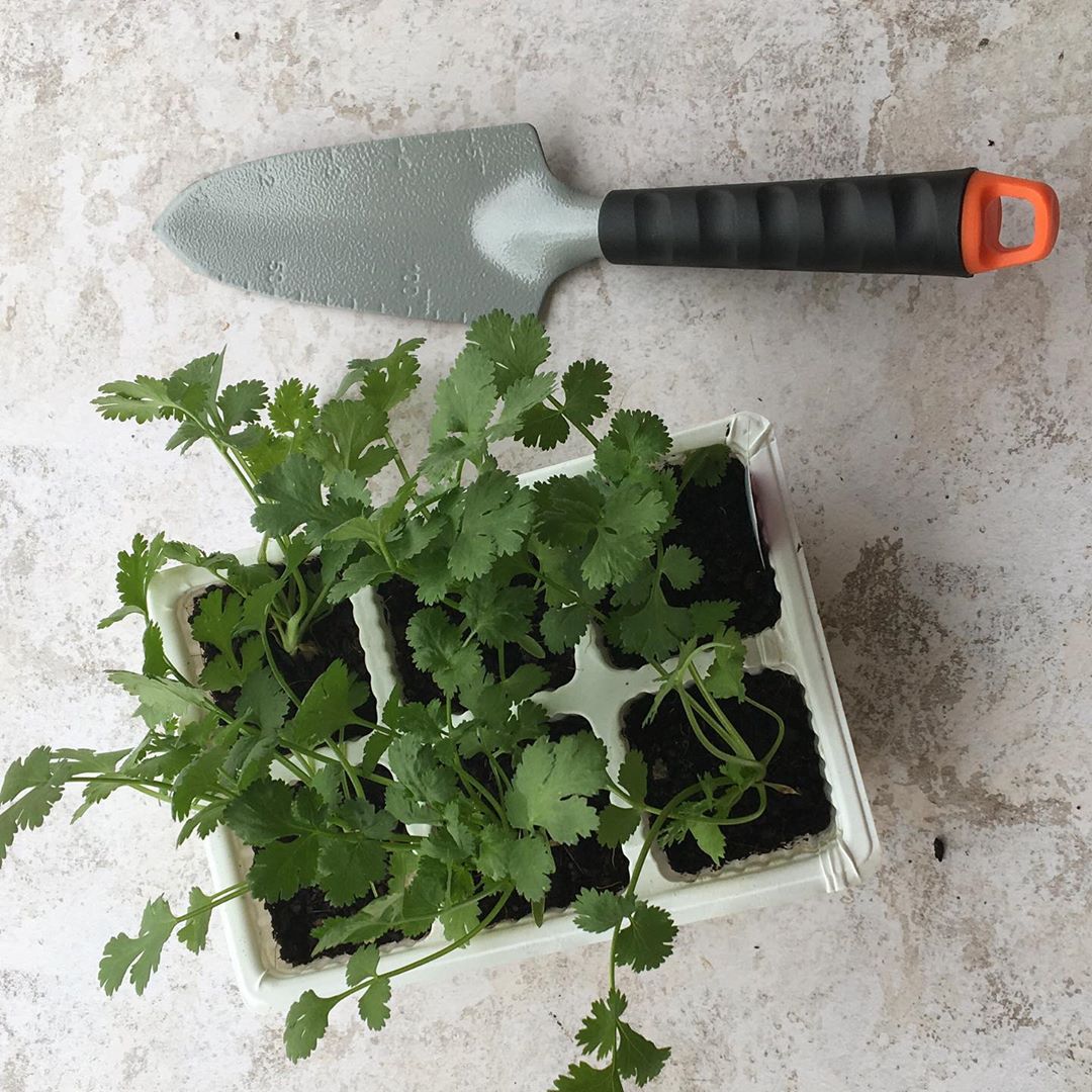 Farminist-Beauty-Home-Gardens-Agricultural-Farming-Tips-Tutorials-001