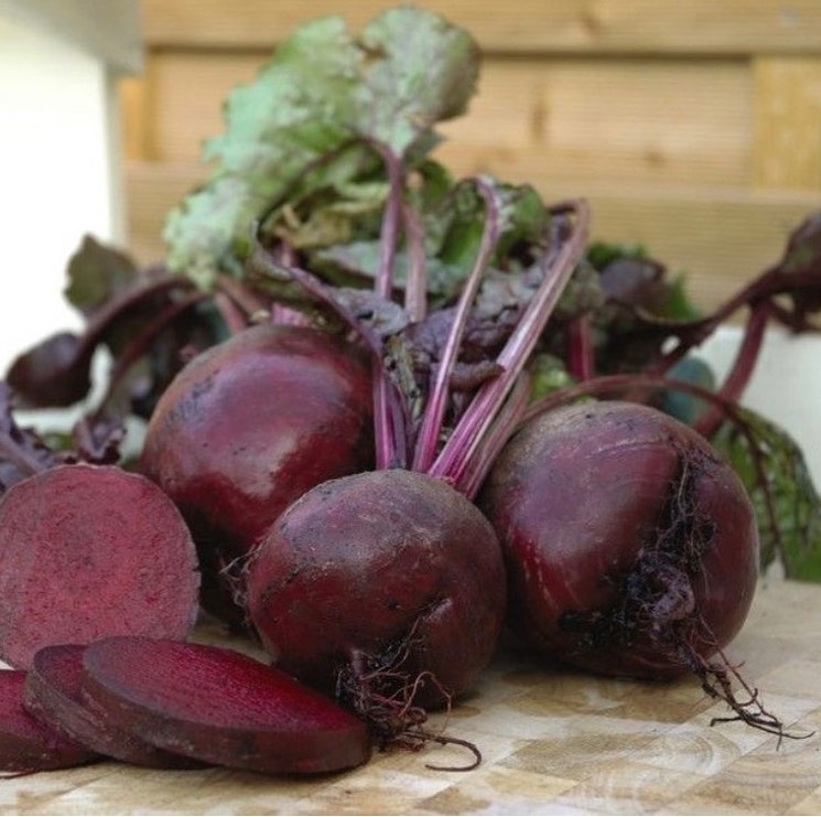 Farminist-Benefits-of-Beetroot-Agricultural-Farming-Tips-Tutorials-001