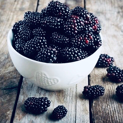 Farminist-Blackberries-Agricultural-Farming-Tips-Tutorials-001