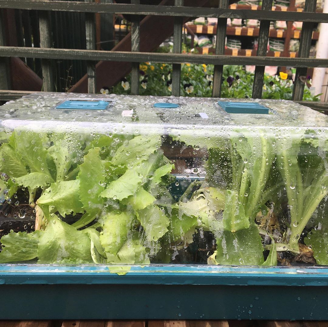 Farminist-Hydroponic-Gardens-Agricultural-Farming-Tips-Tutorials-001