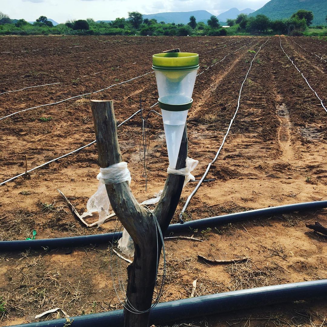 Farminist-Importance-Rain-Guage-Agricultural-Farming-Tips-Tutorials-001