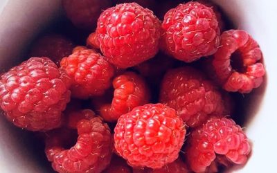 More About Berries: Raspberries