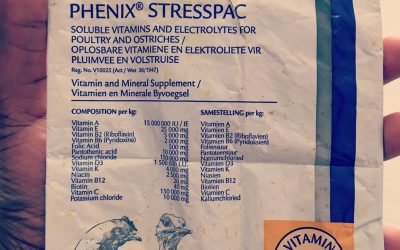 The Secret to Quality Chickens